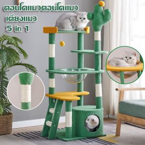 5in1 เล็บเล็บแมว เทียงแมว ของเล่นแมว คอนโดแมวคอนโด ที่นอนแมว สูง 55~155cm