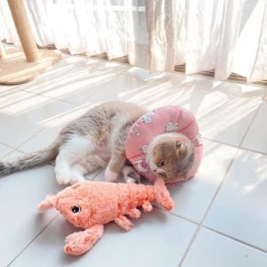 PE-359 ตุ๊กตากุ้ง Lobster ของเล่นแมวดิ้นได้ ช่วยดึงดูดความสนใจ ตุ๊กตาแมว ของเล่นแมวอัตโนมัติ ราคาถูก พร้อมส่ง