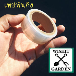 เทปพันกิ่งชวนชม 1 นิ้ว ยาว 50 เมตร เสียบยอด ติดตา นั่งแท่น บาง ยืดหยุ่น ลดแผลช้ำ