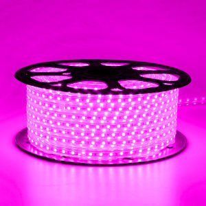 (Per-Meter) Hakamitsu HLS-5070 Lampu LED Strip Leadless SMD PVC IP65 Waterproof Meteran / Lampu Hias Anti Air