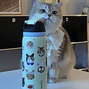 Owala FreeSip UO Cat Series Water Bottle 24/32oz Pink Green Blue Cat Vacuum Insulated Tumbler