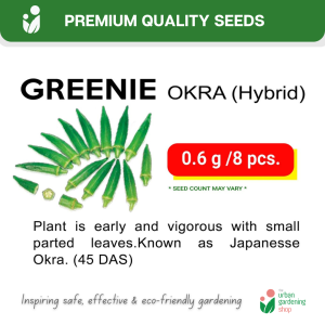 Top Quality Seeds Seeds (Solanaceous) Pepper Tomato Eggplant Okra