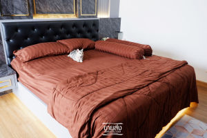 ชุดนวมลายริ้วโรงแรม 6 ฟุตงานพรีเมี่ยม ผ้านุ่มมาก (ผ้านวม+ผ้าปู+xปลอกหมอน)