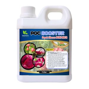 Pupuk Cair Booster Organik InterFarm untuk Buah Naga - Nutrisi Subur & Berkualitas