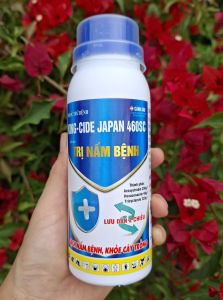 [THIEN THINH SHOP] KING-CIDE JAPAN 460SC Chai 240ML Của Sinochem-Trừ Nấm Bệnh Phổ Rộng như Thán Thư Sương Mai Đạo Ôn