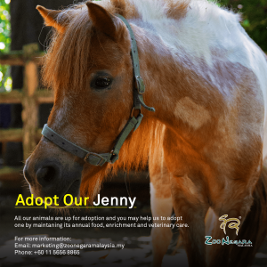 Zoo Negara - Adopt our Jenny
