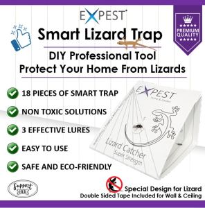 Expest Lizard (Cicak)  Smart Trap DIY [Bundle of 2 boxes ]