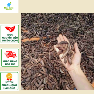 Chuối hột rừng Tây Nguyên