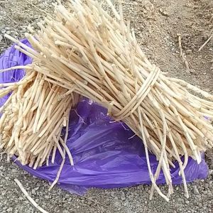 Akar Alang Alang Segar Langsung Petik Akar alang Alang Obat Herbal Termurah