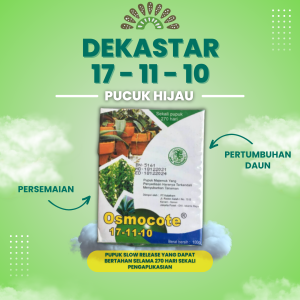 Pupuk Dekastar Osmocote 17 11 10 100 gram