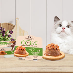 Wellness CORE Divine Duos - Grain-Free Protein Rich Wet Cat Food 2.8oz (79g) | 4 Tasty Flavors