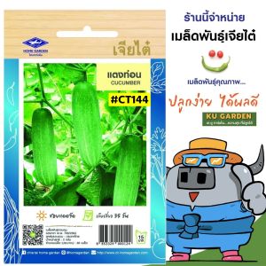 CHIATAI 🇹🇭 ผักซอง เจียไต๋ O144#แตงท่อน ซองประมาณ 60 เมล็ด เมล็ดพันธุ์ผัก เมล็ดผัก เมล็ดพืช ผักสวนครัว
