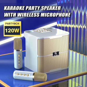 120W portable professional karaoke dual microphone YS-213 bluetooth speaker smart external karaoke device It is suitable for connecting TV karaoke family gathering Christmas gifts Supports TF/USB AUX-in for Home Party
