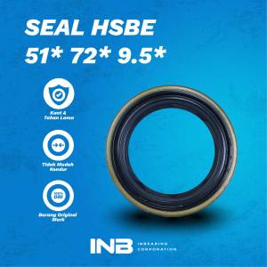 Seal HSBE 51 72 9.5 Nok INB Original Nok