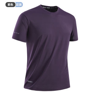 Mens Ice Silk Quick-Dry T-Shirt | Breathable & High Elasticity | Summer Casual Sports Top