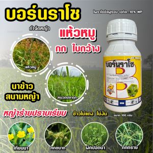 สารกำจัดหญ้าแห้วหมู บอร์นราโซ (100กรัม) ไพราโซซัลฟูรอน-เอทิล 10% สารกำจัดวัชพืชในนาข้าว กำจัด แห้วหมู กก ใบกว้าง