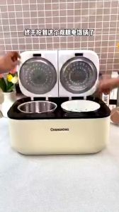 GloNest Periuk Elektrik Multifunction Food Steamer Dual Compartment Steam Cooker Food Warmer Rice Cooker Keep Warm BPA Free Stainless Steel Cooker