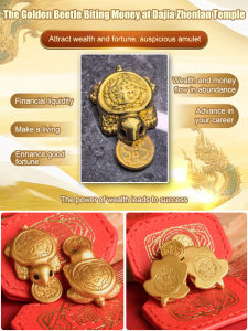 Feng Shui Money Turtle Lucky Wealth Mini Golden Tortoise The Golden Beetle Biting Money Wallet Charm Home Decor Lucky Gift