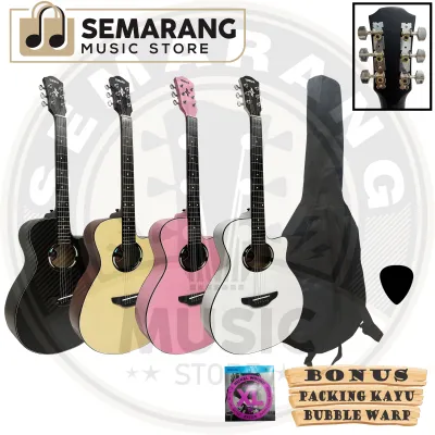 Gitar Akustik Elektrik APX Custom Tanam Besi