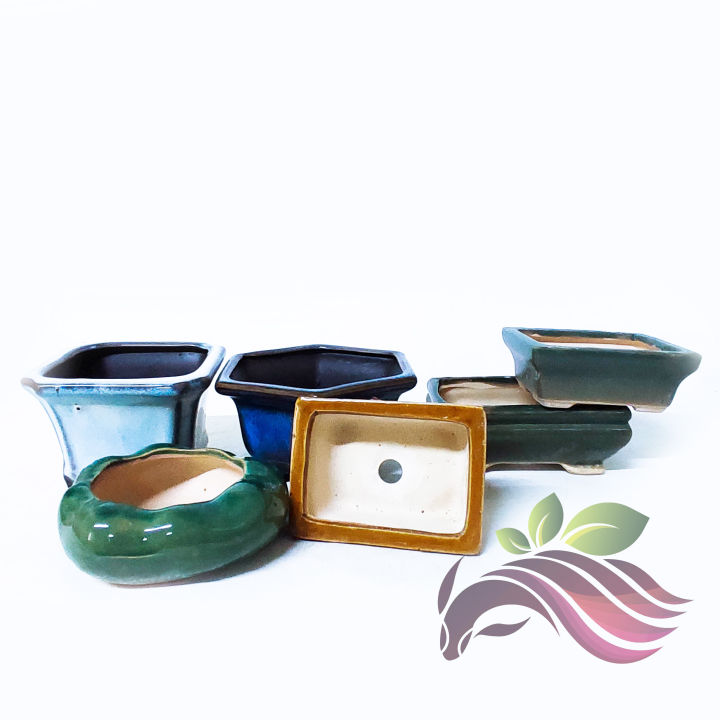 [Pot] Pot Collection Series 1 by LS Group | Lazada