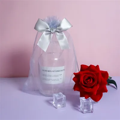【SG】20PCS Drawstring Gift Bag Breathable Storage Bag Mesh Drawstring Bag For Wedding Jewelry Party
