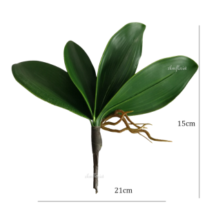 ORCHID LEAVES Highly Simulated Phalaenopsis artificial Leave Leaf Flower Plant Latex Decor Daun Orkid Bunga Hiasan Rum