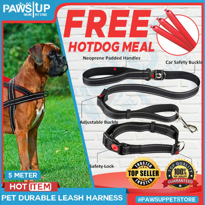 pet supplies pet leash and collar sets