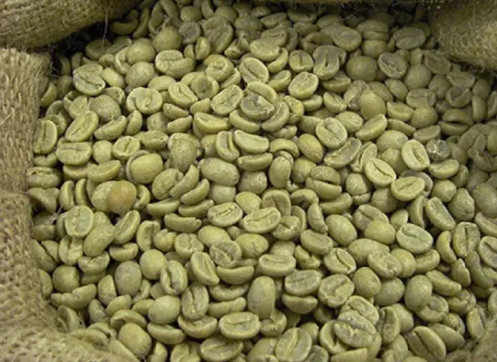 1kg Cà phê nhân sống Robusta chưa rang xay nguyên chất sạch vỏ Lâm Đồng- Sàn 16 - 18 chuẩn xuất khẩu