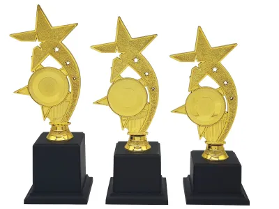 Acrylic Pattern Trophy AT31211(2) with Artwork Printing / Piala / Thanksgiving /Gifts