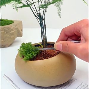 【Local Inventory】100g Artificial Moss – for DIY Microlandscapes Bonsai Rock Gardens & Fake Scenes