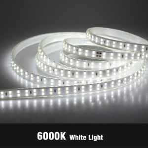 220V LED Strip Light 2835 180LEDs/m High Brightness 10W/m LED Lights Strip 6000K 4000K 3000K IP67 Waterproof Outdoor LED Light + Plug Switch