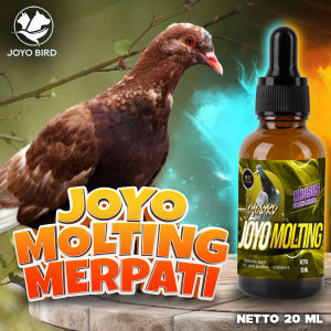 VITAMIN MEMPERCEPAT MABUNG MERPATI | AMBROL | RONTOK BULU BURUNG | MOLTING MERPATI 20ML