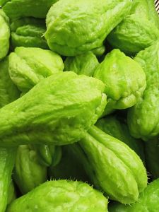 ฟักแม้ว มะระหวาน