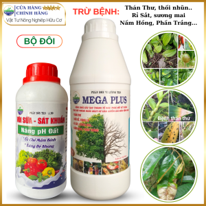 Bộ Đôi  Sinh Học Trừ Nấm Bệnh Thán Thư Thối Nhũn Rỉ Sắt Sương Mai Phấn Trắng  - MegaPower Vôi Sữa