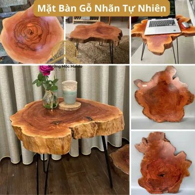 Tấm Gỗ Tròn Làm Mặt Bàn Ghế Miếng Gỗ Thân Cây Nhãn Xà Cừ Tự Nhiên