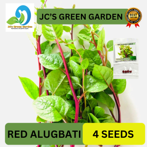 VALUE PACK (4 SEEDS) - RED ALUGBATI SEEDS/TAGALOG HYBRID/EASY TO GROW/SUPER RED/TAGALOG