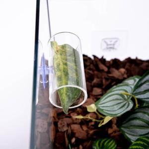 Fish Resting Tunnel Spawning Environment Professional Fish Tanks Decoration for Aquariums Shrimp