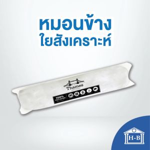 Home Best หมอนข้าง ของแท้ 100% หมอนโรงแรม 5ดาว ใยสังเคราะห์ ขนห่านเทียม เกรดA หมอน หมอนเพื่อสุขภาพ แก้ปวดคอ