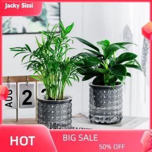 Jacky Mini Tự Tưới Nước Chậu Hoa Bể Cá Nhựa Trong Suốt Nhà Máy Chậu Tự Tưới Nước Trồng Chậu Bình Cho Trang Trí Nội Thất