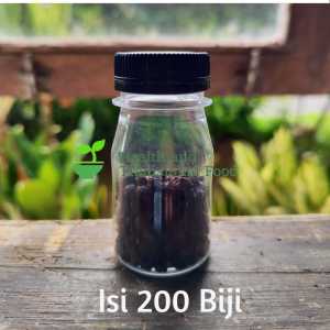 BIJI ANGKUNG KERING ORGANIK OBAT HERBAL STROKE & DARAH TINGGI 400 BIJI BONUS 20 BIJI