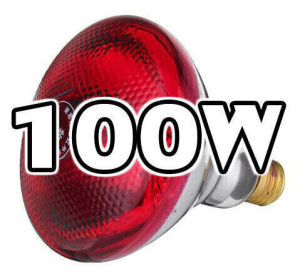 หลอดไฟอินฟาเรด E27 แก้วหนา สีแดง หลอดไฟ ให้ความอบอุ่นสัตว์เล็ก กกไก่ หมู ( ขนาด 100/150/175/250/275W )