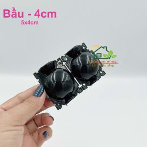 BCVN - Sét 10 bầu nhựa PP chuyên hỗ trợ chiết cành giúp rễ chiết sinh trưởng và phát tốt nhiều size