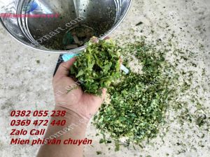 Máy băm rau muống bèo tây siêu nhỏ nhanh