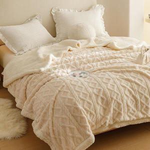 Wool blanket(200cmX220cm) large size high quality low price keep warm soft skin friendly good sleep blanket super soft fluffy