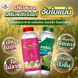 [ปุ๋ยเซตคู่ ตัวเด็ด!] สารจับใบ+เมลด้า (ขนาด 1 ลิตร) ลดต้นทุนใช้ปุ๋ยและยา ดูดซึมเร็ว ติดทนนาน  พร้อมกดยอดอ่อน ใบอ่อนเรียวเล็ก กางเร็ว เร่งใบแก่ ใบไม่ลาย สะมอาหารได้ดี