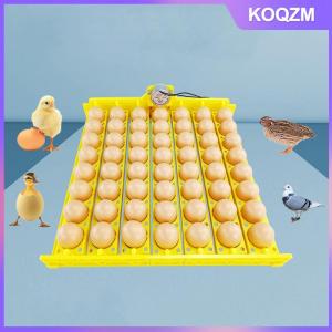 KOQZM 8 22 36 Holes Automatic Incubator Egg Tray Chicken Egg Incubator Holder For Duck Poultry Goose Birds Replacement Parts
