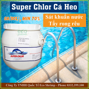 1 Kg Chlorine 70% Xử Lý Nước - Diệt Khuẩn - Làm Sạch Và Trong Nước