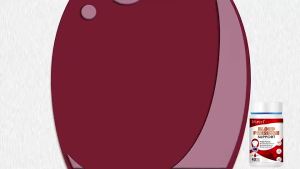 Trorexl Halal lowering  capsuleblood lipids natto antioxidants protect cardiovascular health