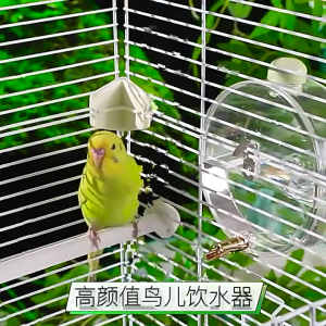 สกรูรูปทรงกลมสำหรับกรงแบบยึดติดขวดคนรดน้ำเติมได้ง่ายขนาด250มล. เครื่องจ่ายน้ำสำหรับ Essential รดน้ำนกแก้ว