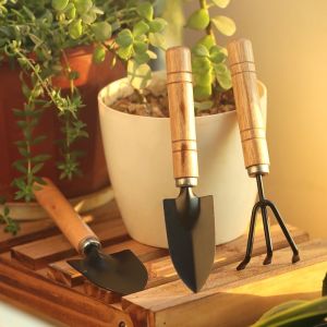 3Pcs Mini Gardening Tool Set Spade Shovel Harrow Rake with Wooden Handle Potted Plants Tools